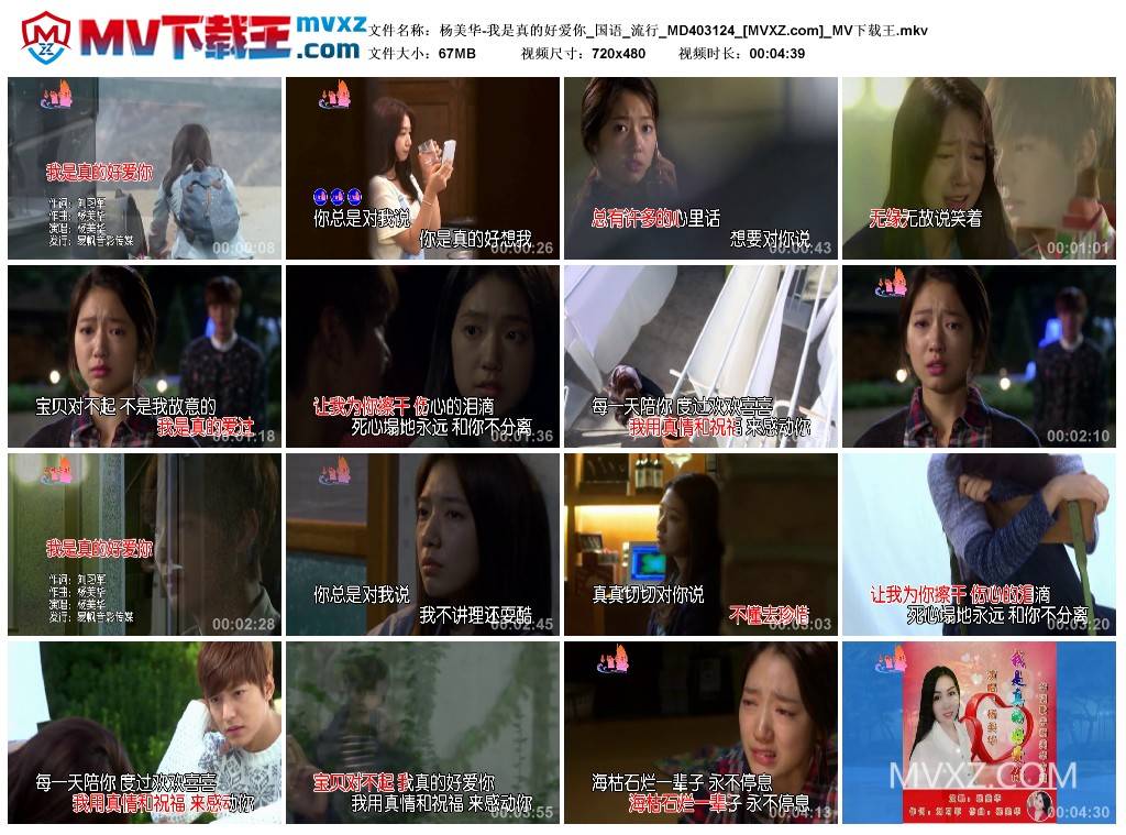 杨美华-我是真的好爱你_国语_流行_MD403124